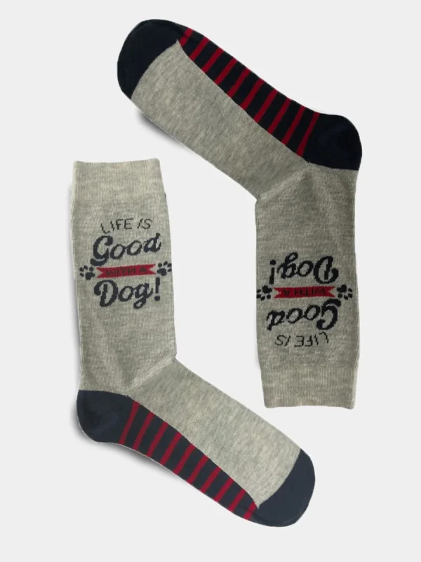 Men BOXT Socks Mens 4 Pack Dog House Gift Set