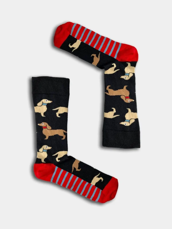 Men BOXT Socks Mens 4 Pack Dog House Gift Set