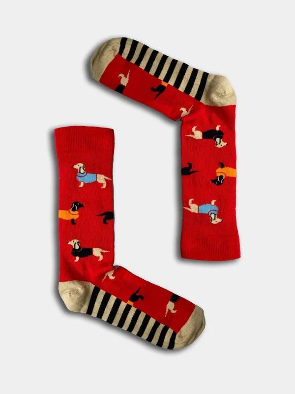 Men BOXT Socks Mens 4 Pack Dog House Gift Set
