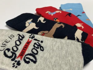 Men BOXT Socks Mens 4 Pack Dog House Gift Set