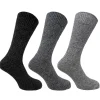 Men Bramble 3 Pack Mens Wool Blend Hiking Socks