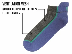 Bramble Socks | 2 Pack Womens Performance Trainer Socks