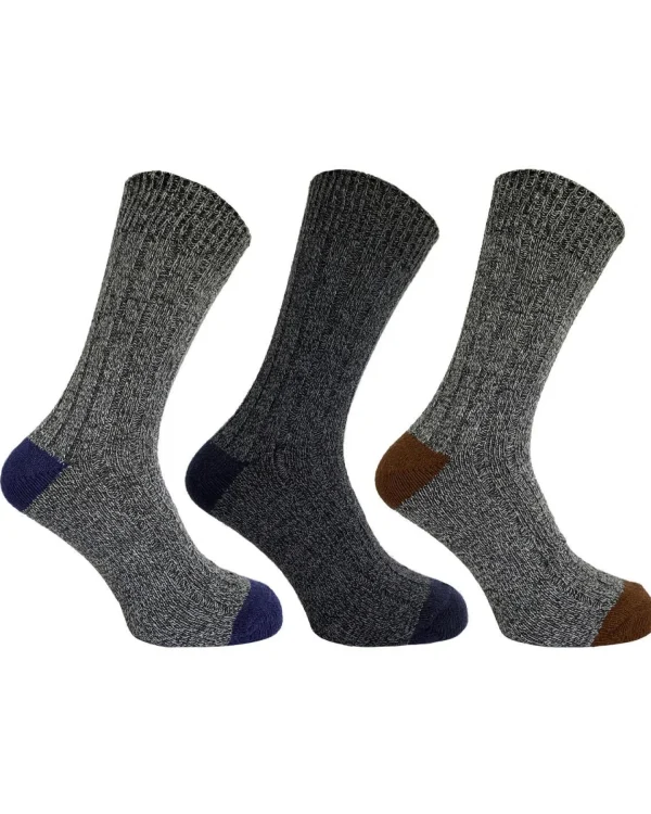 Men Bramble Mens 3 Pack Wool Blend Socks