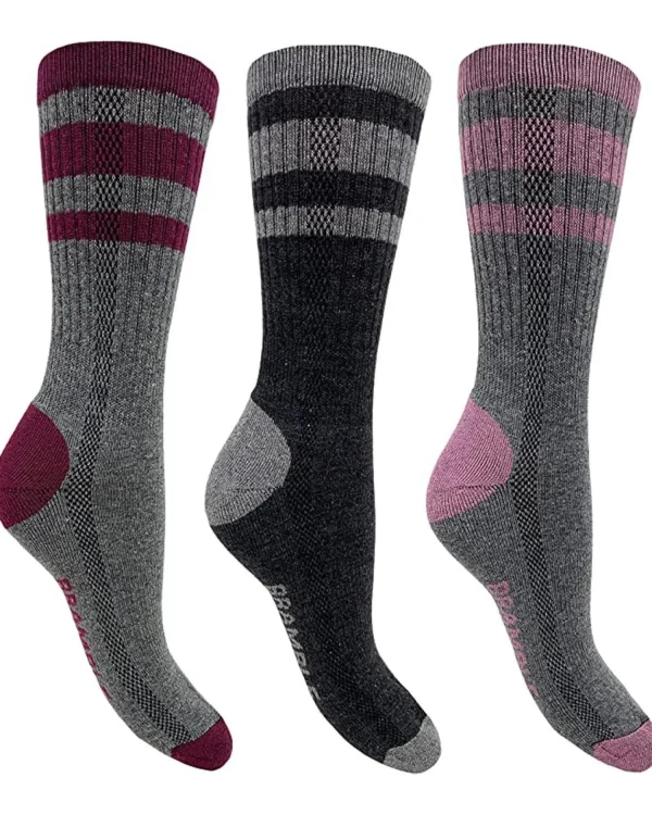 Bramble Socks | Womens 3 Pack Lightweight Hiker Socks