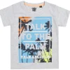 Kids Cargo Bay Boys Grey Short Sleeve T-Shirt