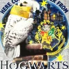 Kids Harry Potter Kids Here Comes My Letter Pyjamas