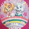 Kids Paw Patrol Kids Skye And Everest Pink Pyjamas