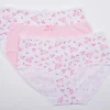 Slenderella Knickers | Slenders By 3 Pack Cotton Midi Brief - Pink