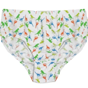 Kids Tom Franks Boys 7 Pack Dinosaur Briefs