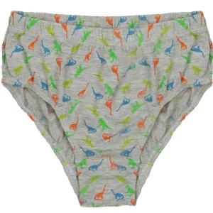 Kids Tom Franks Boys 7 Pack Dinosaur Briefs