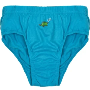 Kids Tom Franks Boys 7 Pack Dinosaur Briefs